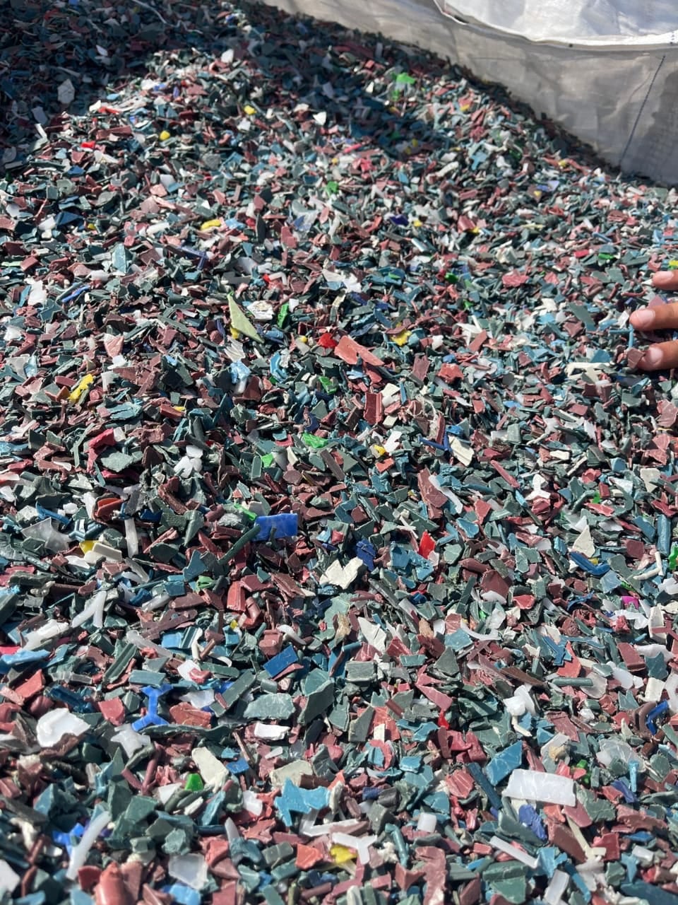 Recycling & Export